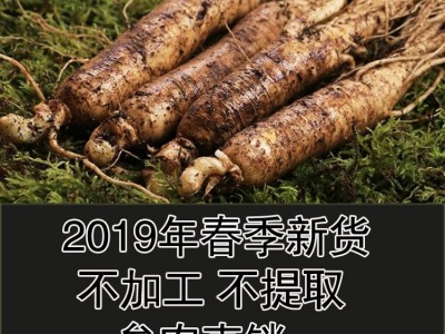 2019年新鲜带土人参 现挖现卖批发鲜人参 非保鲜人参东北人参图3