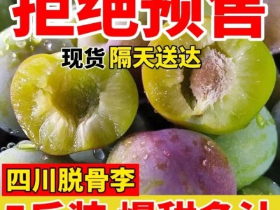新鲜四川脱骨李子5斤水果孕妇当季整箱李子半边红茵红李五月脆甜3图3