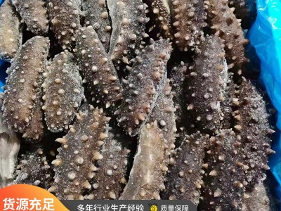 厂家货源好口感 新鲜海参即食海参干货刺参干参发货及时 批发图1