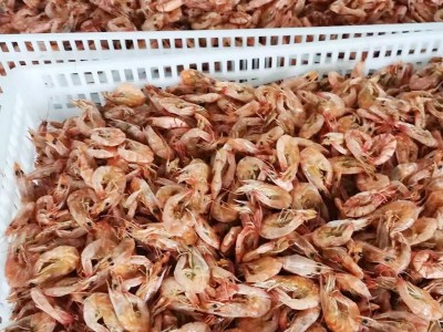 即食烤虾干海鲜干货对虾斑节虾干孕妇补钙零食海虾干淡干虾干批发图5