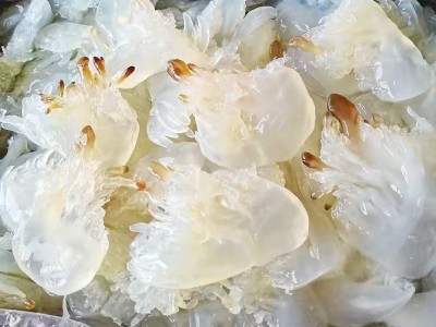 海蜇头桶装整箱非即食凉拌菜海蜇皮丝脆爽批发 发货及时图2