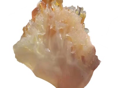 海蜇头桶装整箱非即食凉拌菜海蜇皮丝脆爽批发 发货及时图4