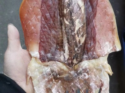 （量大可议价）墨鱼干干货500克纯淡半淡晒小中大号散装乌贼目鱼图3