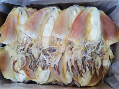 （量大可议价）墨鱼干干货500克纯淡半淡晒小中大号散装乌贼目鱼图2