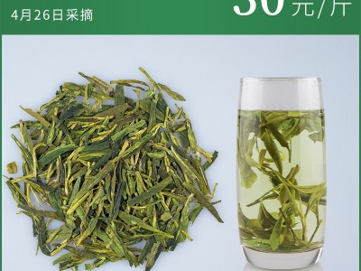 龙井茶2022新茶雨前龙井新茶叶绿茶散装春茶厂家批发一件代发图4