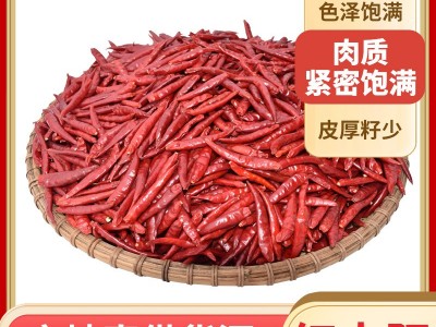定制干辣椒红太阳辣椒500g香辣微辣干货辣椒炒菜调味图3