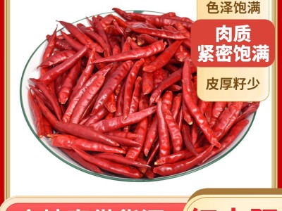 定制干辣椒红太阳辣椒500g香辣微辣干货辣椒炒菜调味图2