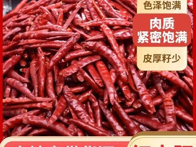 定制干辣椒红太阳辣椒500g香辣微辣干货辣椒炒菜调味图5
