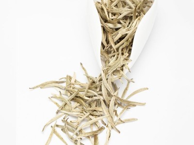 广西横县茉莉花茶厂家直销浓香型茉莉白毫银针茶王散装绿茶批发图5