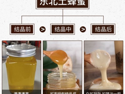 结晶土蜂蜜东北农家自产土蜂蜜百花蜂蜜结晶蜜代加工一件代发图3