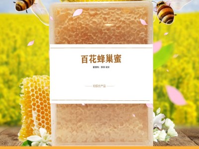 蜂巢蜜百花荆条蜂巢蜜500g批发散装土蜂蜜批发蜂蜜贴牌厂家蜂巢蜜图3
