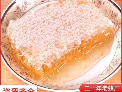 厂家供应蜂巢蜜500g成熟全封盖百花巢蜜农家土特产蜂蜜现货销售图3