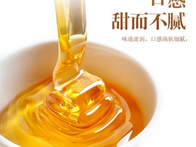 【源头厂家】鲍记农家自产土蜂蜜500g蜂蜜批发蜂蜜散装批图4