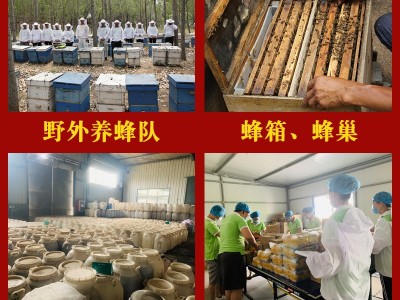 批发土蜂蜜 农家土特产山花蜜液体土蜂蜜批发250g蜜糖直播代发图4