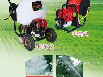 汽油动力四冲程超高压喷雾器 背负/手推式消杀弥雾机 大功率药泵图4