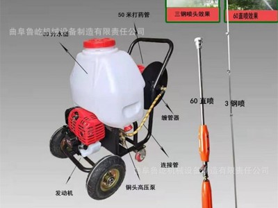 汽油动力四冲程超高压喷雾器 背负/手推式消杀弥雾机 大功率药泵图3