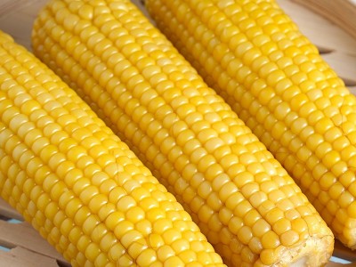 厂家直供德乐圆关东老味道有机糯玉米新鲜玉米棒200g*10盒真空图5
