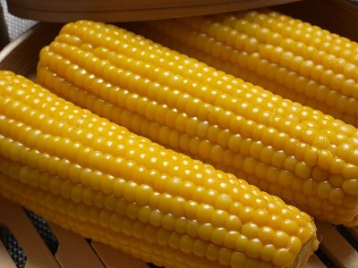 厂家直供德乐圆关东老味道有机糯玉米新鲜玉米棒200g*10盒真空图4
