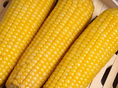 厂家直供德乐圆关东老味道有机糯玉米新鲜玉米棒200g*10盒真空图2