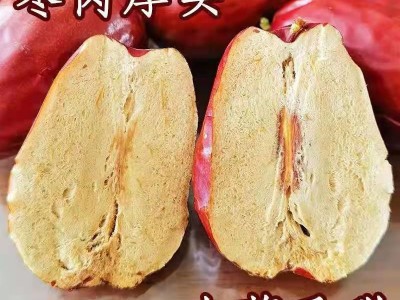 丝路兵团 新疆特产和田骏枣500g/袋 枣香浓郁 肉质饱满 厂家直发图4