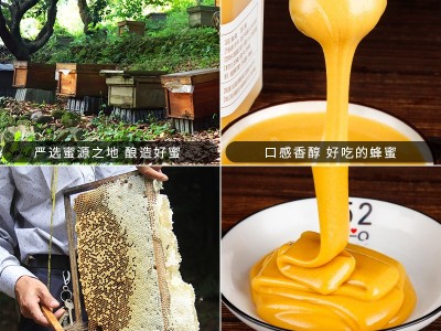 波美度42凝固蜂糖采秦岭自然野花封盖成熟真正深山自然结晶土蜂蜜图2