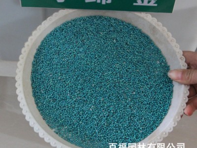 批发户外马蹄金种子金钱草垂吊心形铜钱草 多年生耐阴护坡草坪图2