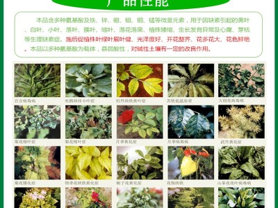 国光思它灵补充植物微量元素氨基酸水溶叶面肥促叶片返绿恢复花肥图3