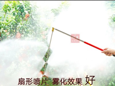 扇形双向喷枪烟叶玉米瓜豆角专用不锈钢加厚喷雾器打药机PLD5喷头图2