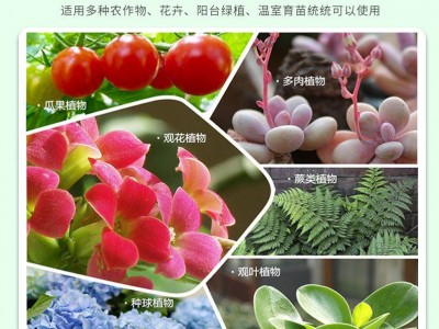 根茎膨大素 蔬菜中药含腐植酸叶面肥 农夫生物厂家供应批发图3