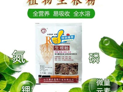 快速生根粉植物通用扦插移栽树木生根剂生根壮苗提苗促进生长图2