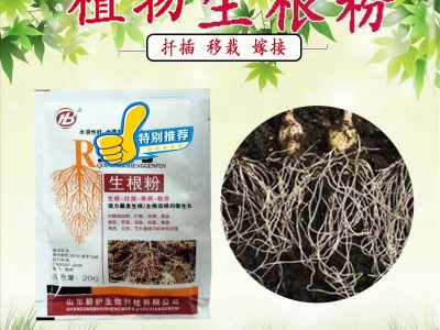 快速生根粉植物通用扦插移栽树木生根剂生根壮苗提苗促进生长图5