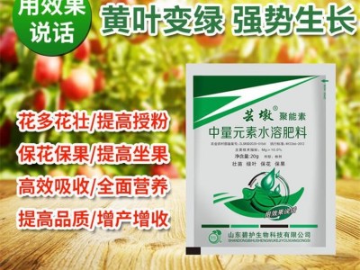 植物用微量元素叶面肥小麦水稻果树小叶变大黄叶变绿促生长图5