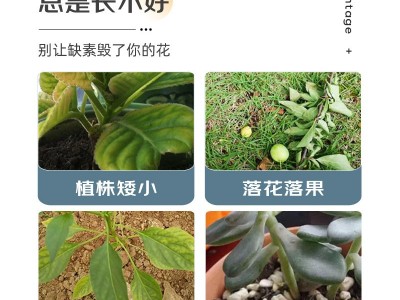 芽动力羊粪腐熟发酵有机肥天然农家肥种花卉蔬菜通用基肥图4