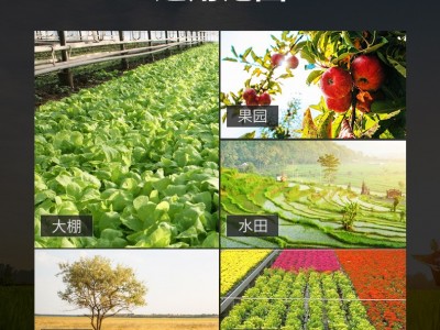 汽油手扶农用微耕机小型旋耕机农林机械手扶微型除草机农业旋地机图3