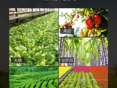 成峰农机小型微耕机手扶旋耕机开沟机施肥器回填除草起垄耕地机图3