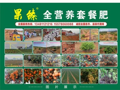广西活力菌粉剂 壮方元有机肥 微生物菌剂厂家 微生物菌剂批发图5