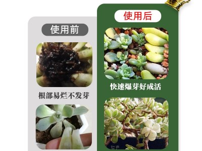 支持代发 多肉矮胖素 爆芽素优芽素营养液 有机肥控释肥 缓释肥图3