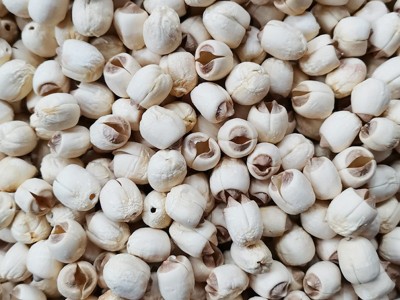 新货莲子干货 广昌白莲子 500g通芯白莲图4