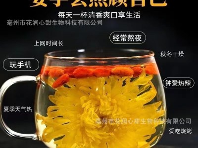 枸杞菊花茶大朵金丝皇菊一朵一杯花茶胎菊茶红枸杞茶图3