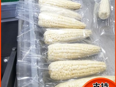 新鲜甜糯白玉米10根/件真空装白玉米棒东北香甜糯玉米真空黏玉米图3