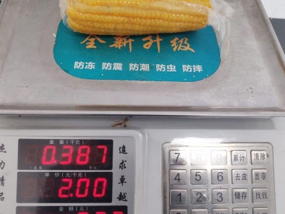 包邮东北9根黄玉米280g/根 新鲜香糯熟玉米塑封真空包装甜糯玉米图2