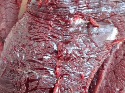 甘肃青海高原散养生鲜牦牛肉牛腱子肉牛腩里脊大腿肉牛排牛尾图5