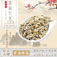 珍品玉螺 广西横县横州市茉莉花茶新茶 厂家直销批发零售一件代发