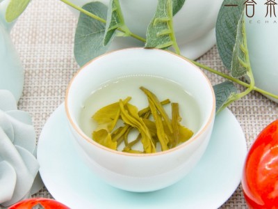 银白毫 广西横县茉莉花茶新茶浓香 厂家直销批发零售可一件代发图3