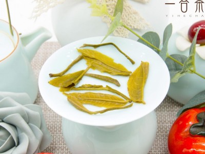 银白毫 广西横县茉莉花茶新茶浓香 厂家直销批发零售可一件代发图4