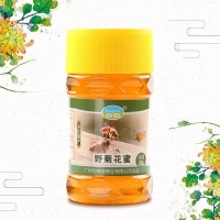 中华蜂蜜 野菊花蜜500g瓶装厂家直销 可散装批发