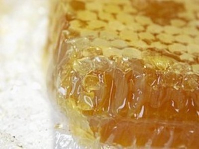 中华蜂蜜 野菊花蜜500g瓶装厂家直销 可散装批发图3