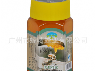 野桂花蜂蜜农家自产蜂蜜批发桂花蜜可团购OEM贴牌生产图3