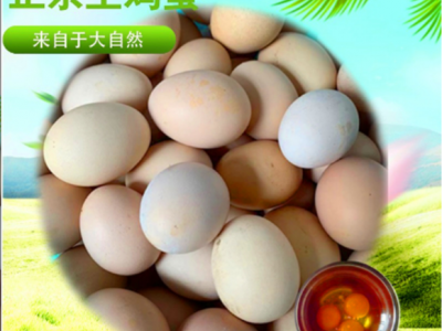 土鸡蛋农家土鸡蛋 湖北随县农家自养野菜杂草粮食喂养图3
