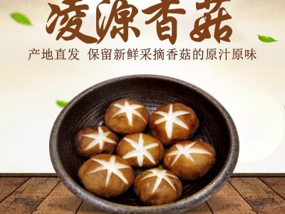 厂家批发产地直供凌源香菇1.5kg箱装 肉厚爽滑无根香菇菜肴辅配料图3